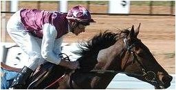 Blinkers ON, Pontiff ON, Get ON